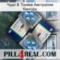 Чудо В Тонике Австралия Кенгуру viagra5